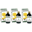 Pilosella estratto integrale 200 ml 3x200 ml soluzione orale