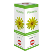 Pilosella sol ial pianta fr100