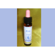 Pine original 10ml gocce