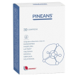 Pineans 20 compresse