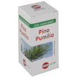 Pino pumilio olio essenziale 20ml