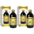 Pioppavis liquido analcoolico 200 ml 2x200 ml soluzione orale