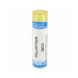 Pollantinum 30ch gr