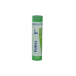 Pollens 5ch gr
