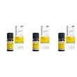Pranarom - aromapic serata estiva tranquilla bio- repellente naturale