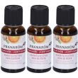 Pranarom diffusore aria di festa sinergia bio eco 30 ml