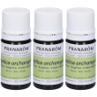 Pranarom olio essenziale angelica 3x5 ml
