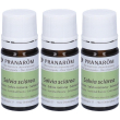 Pranarom olio essenziale salvia sclarea sommita fiorita 3x5 ml soluzio