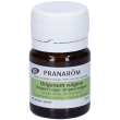 Pranarôm perle origano volgare bio 60?perle olio essenziale immunostimolante