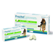 Prazitel 20 compresse cani t/grande