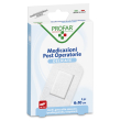 Profar medicazione sterile 10x6cm 5 pezzi