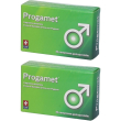 Progamet 30 compresse gastroprotette 2x36,6 g gastroresisten