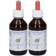 Promopharma tarassaco soluzione idroalcolica gocce 2x100 ml