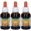 Propoli evsp estratto idro no alcool 30 ml 3x30 ml soluzione orale