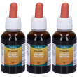 Propoli evsp® estratto idroalcolico 3x30 ml soluzione orale