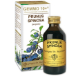 Prugnolo 100ml analco gem 10+