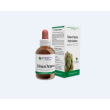 Psc echinacea purpurea gtt15ml