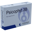 Psicophyt remedy 3b 4 tubetti 1,2g