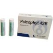 Psicophyt remedy 42b 4 tubetti 1,2g