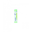 Pulsatilla 5ch 80gr 4g