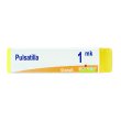 Pulsatilla 1000k gl 1g