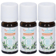 Puressentiel olio essenziale di mirto 3x5 ml soluzione orale