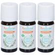 Puressentiel® olio essenziale rosmarino canforato bio 3x10 ml soluzion