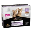 Purina pro plan kitten in salsa tacchino - alimento completo per gattini 10 x 85 gr