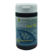 Quercefast p53 60 capsule gastroresistenti
