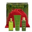 Rabarbaro beauty setole