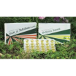 Raemil borragine olio 60 perle