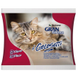 Raggio di sole gran forma gatto golosetti salsa fegato/pollo 4x100gr (bustina) multipack
