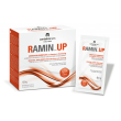 Ramin up polvere 20 bustine 6,5g