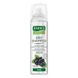 Rausch dry shampooo fresh 4x150 ml