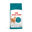 Rc cat ageing 11+ 2kg