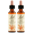 Red chestnut bach orig 20ml 2x20 ml gocce orali