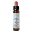 Red chestnut essenza 10ml
