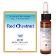 Red chestnut fiori mediter gocce