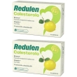 Redulen colesterolo compresse 2x36 g