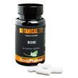 Reishi 60 capsule botanical