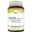 reishi 90cps n/f hifas da terra
