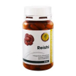 Reishi linea basic cpr