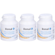 Renal n mangime complementare per cani e gatti barattolo 3x70 g polver