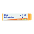 Rhus toxicodendron 10000k gr1g