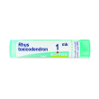 Rhus toxicodendron 1000k 80gr