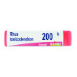 Rhus toxicodendron 200k gr 1g