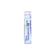 Rhus toxicodendron 30ch 80gr4g