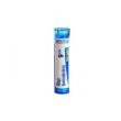 Rhus toxicodendron 9ch 80gr 4g
