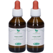 Ribes macerato glicerico 100 ml 2x100 ml