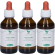 Ribes macerato glicerico 100 ml 3x100 ml